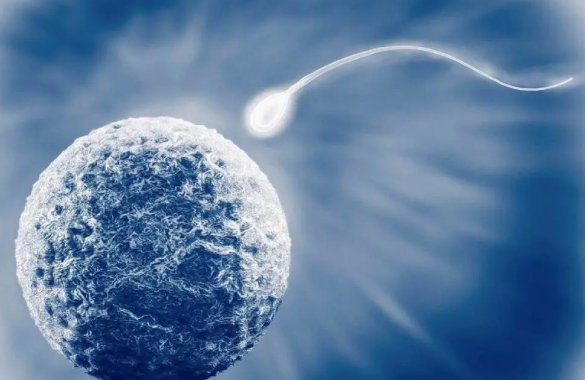 <b>严重少精、弱精、畸形精、精子活力低，做试管二代还是三代好？</b>