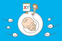 <b>福建妇幼三代试管技术准入指南！成功率62%+费用解析</b>