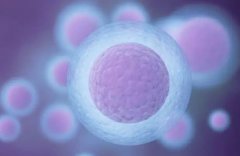 菏泽鄄城县试管医院全面解析：探寻最佳生育选择
