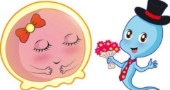 潍坊寿光市试管治疗全攻略：寻找专业可靠的试管服务中心指南