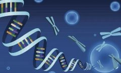 广安广安区试管服务指南：精选专业医院，助您实现生育愿望