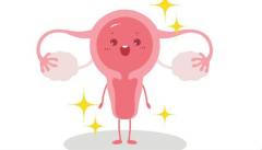 子宫腺肌症患者尝试试管能否圆育儿梦？全面解析腺肌症患者试管的成