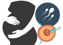 伊犁州妇幼保健院试管助孕全攻略：费用明细一览，助你轻松掌握试管