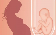 贵阳闭经女性做试管能否成功？全面解析闭经情况下的不同助孕方法及