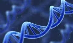 阿拉善做第三代试管，费用要多少？医院哪里有？