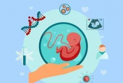 濮阳地区是否存在可以进行第三代试管治疗的专业医院？全面搜索并介