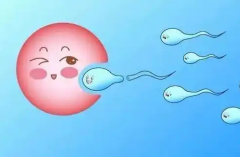 吐鲁番哪家医院治疗不孕不育厉害？能做试管吗？