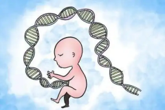 在汕头进行第三代试管治疗，大概需要花费多少费用？哪些医院能够提