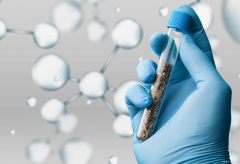 佳木斯地区第三代试管手术费用是多少？寻找能做此项手术的优质医院