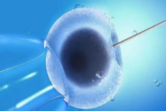 天津蓟州区有哪些医院可以进行第三代试管手术？全面搜索与专业机构