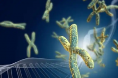 上海虹口有哪些试管医院？2025年试管费用指南！