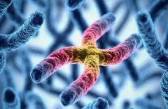 深入剖析随州三代试管！价格、优势、医院选择全知道！