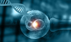 双角子宫患者能不能做三代试管？晋城要去这些医院才能做手术！