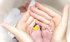 伊春大揭秘：第三代试管价格，你绝对想不到的数字！