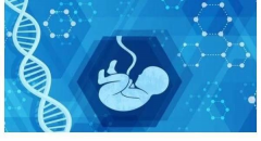 孕酮高影响三代试管移植吗？湘潭什么医院能做三代试管？
