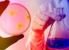 精子畸形患者能做试管吗？有多少成功率？