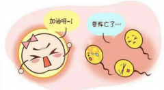 精子数量少就意味着精子质量不行吗？揭秘男性生育力的真相！