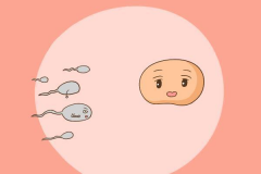战胜死精症，迎接试管宝贝：全面解析试管前的准备事项与注意事项，