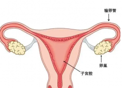 输卵管有问题能不能做试管？输卵管炎症影响成功率吗？