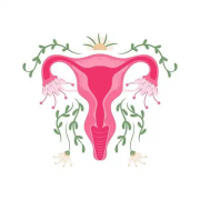 守护卵巢青春，女性朋友必看！轻松做到这4点，远离卵巢早衰烦恼！