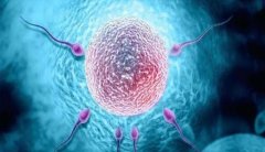 子宫发育不良能否做试管？成功率全解析！