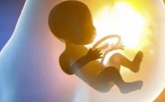 子宫发育不良，月经还正常吗？试管怀孕费用一览无余！