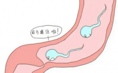 男性输精管堵塞怎么治疗？这几种方法效果不错！