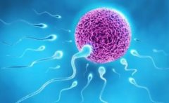精子质量决定试管成败？如何提高，一文告诉你！