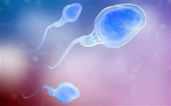 详细解析D级精子，和并不等同于死精症！