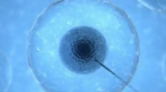 2025沧州试管手术现状，成功率和费用详解！