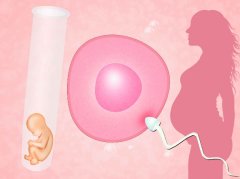 成都试管生子：私立医院选择、价格与成功率一站式解析