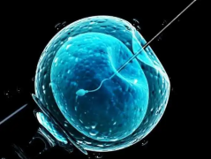 南京试管医院哪里容易成功？2025年厉害的医院盘点！