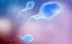 三个方法能够提高胚胎质量！不孕不育夫妇速看！