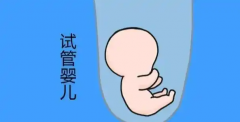 2025上海试管攻略，哪些医院排名领先？