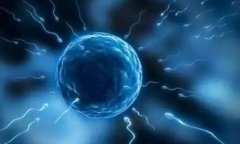 迪庆子宫内膜炎患者试管成功案例！内膜炎助孕方法大公开！
