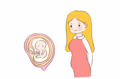 海南试管机构哪家强？正规榜单新鲜出炉，这三家医院超“好孕”！