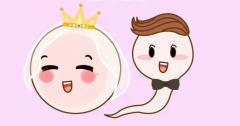 广东试管求子哪家行？正规靠谱还技高一筹的医院大揭秘！