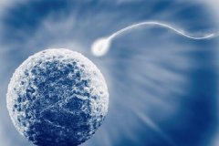 揭秘桂林第三代试管：成功率究竟几何？哪些因素在起作用？