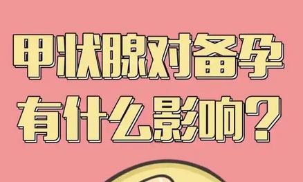 男性备孕期间有必要做甲状腺功能5项吗？