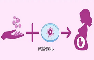 53岁用试管能成功生子的概率大吗?