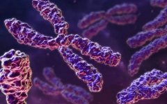 泰国三代试管价格全解析！费用明细，让你心中有数！