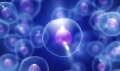 2023年彬州，哪家试管医院最正规？仅此一家！