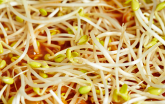 痛风患者注意！这几种食物千万别吃！