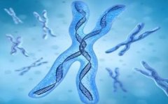 老公精子DNA碎片率21%，试管胚胎质量能否保证？全面解析来了！
