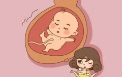 试管FSH全解析：定义与正常范围值一网打尽！