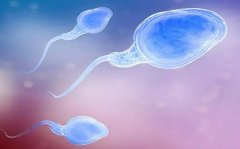 死精症男士也能当爸？试管婴儿成功率详解！