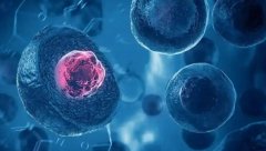 做了宫腹腔镜手术，怀孕几率会提高吗？