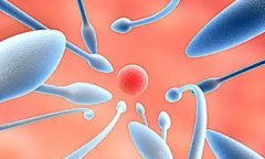 精子活力低，碎片率就会高吗？揭秘真相！