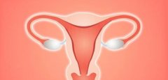 试管安全性探讨：双侧输卵管切除后的女性必看！