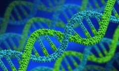 有疱疹病毒，试管生孩子可行吗？费用全知道！
